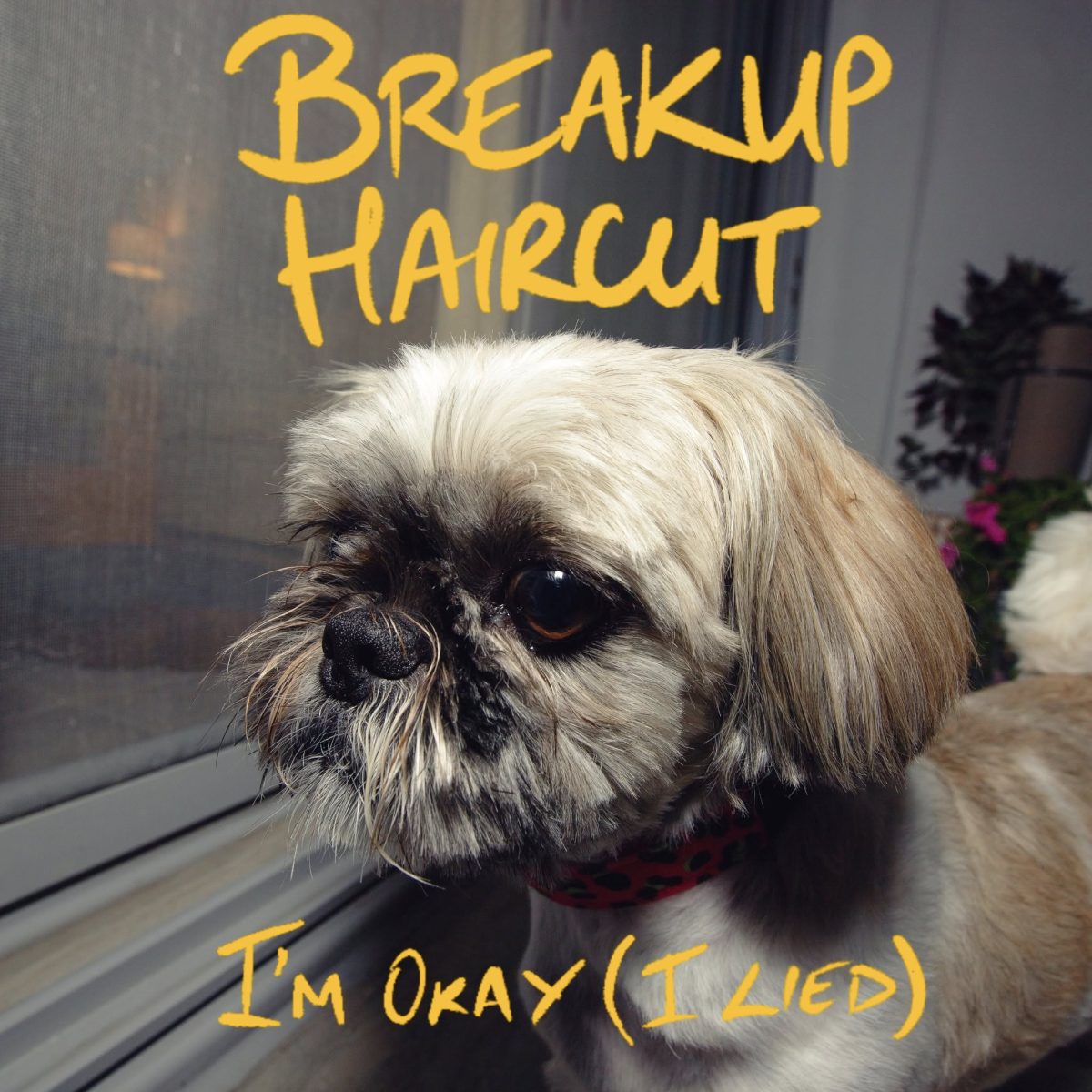 I’m Okay (I Lied) – Single Review