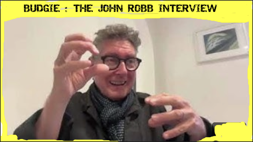The John Robb interview on his recent memoirs and life with Siouxsie and her Banshees