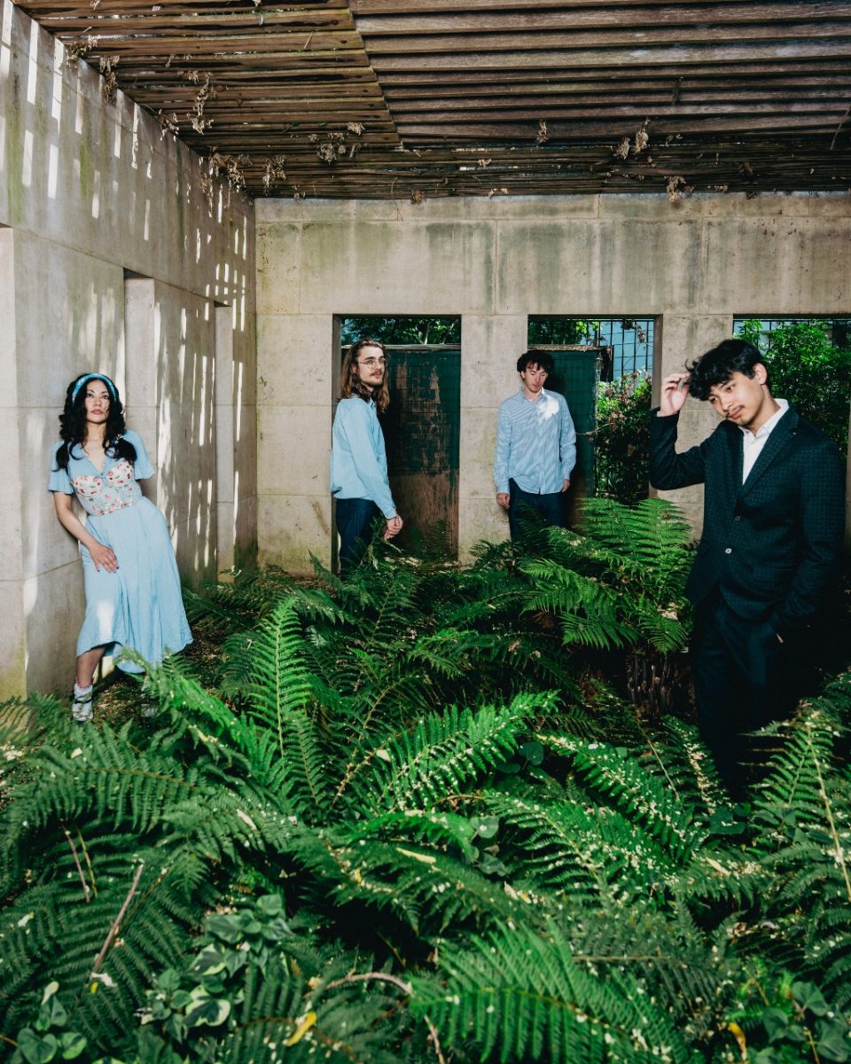 Cold Beaches: Ambient Joy – Album Review