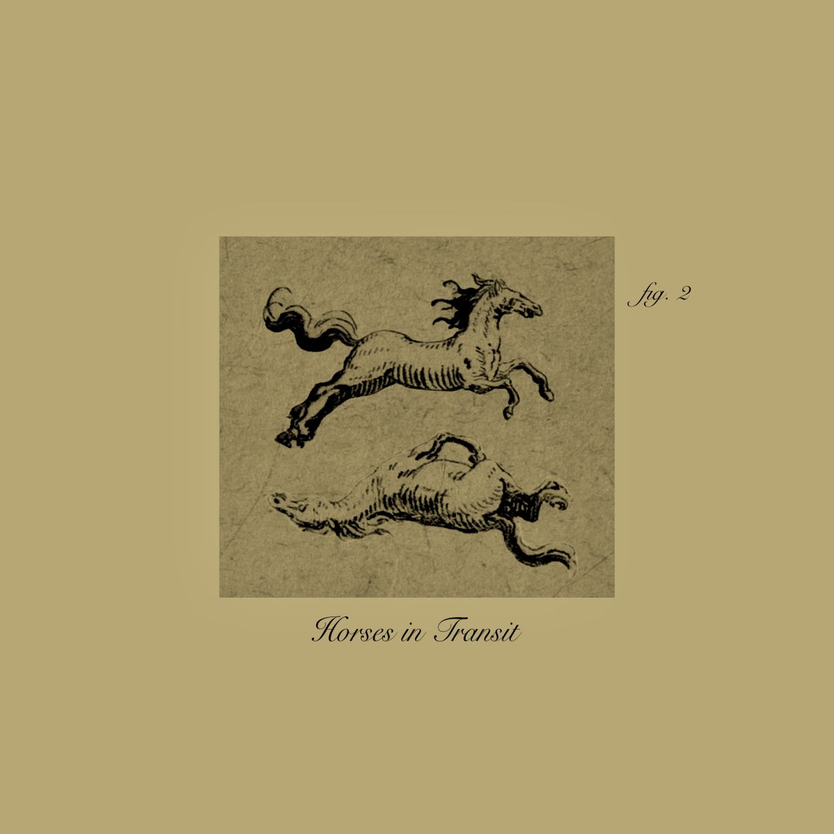 Horses In Transit – Single Review