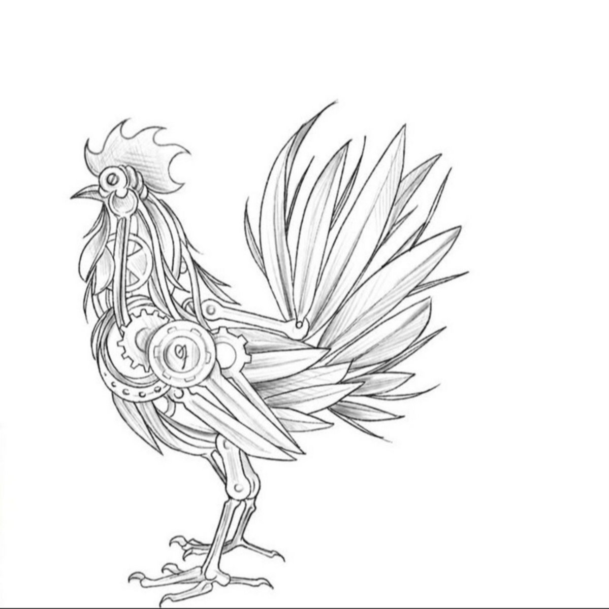 Zbigniew Chojnacki Basic Man album review