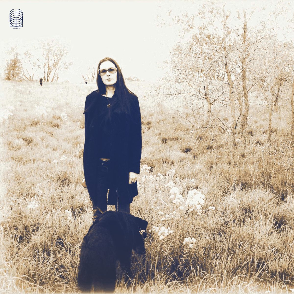 Forever, I’ve Been Being Born – Album Review