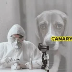 Painfully slow decline in animal testing exposes a government dragging its feet
