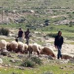 Palestinians face escalating settler attacks in the West Bank